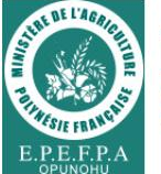 EPEFPA Opunohu